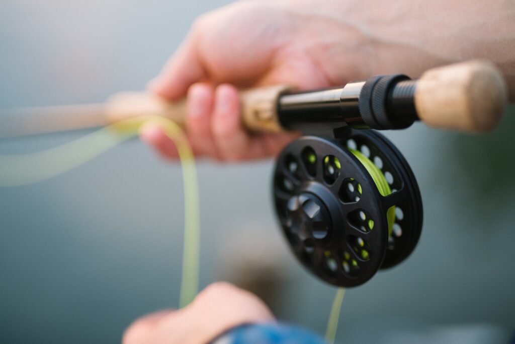 Fishing For Beginners | The Best Fishing Reel