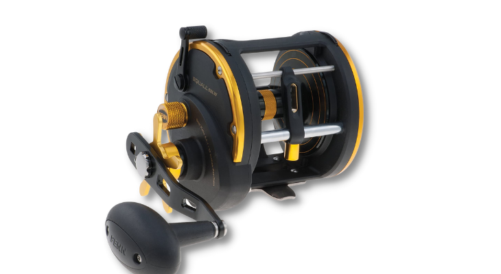 Best Fishing Reel for Striped Bass In 2021