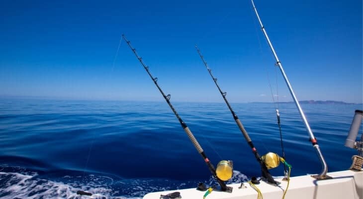 Best Saltwater Fishing Rods for Beginners