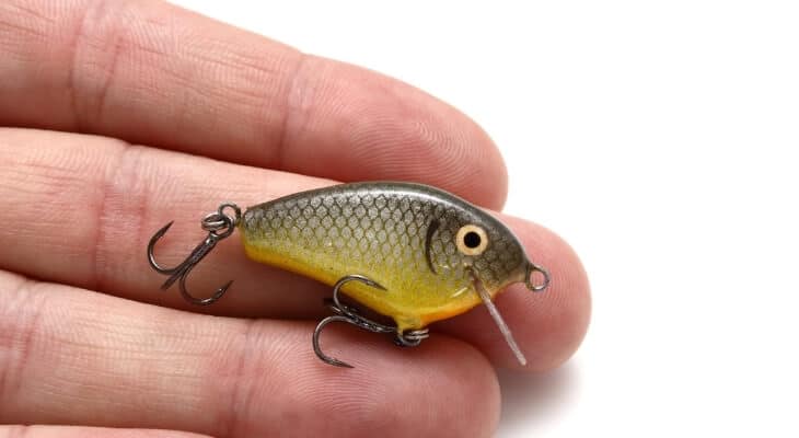 Best Trout Lures For Rivers