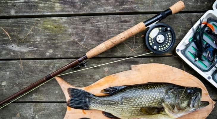 best bass fishing rod for the money