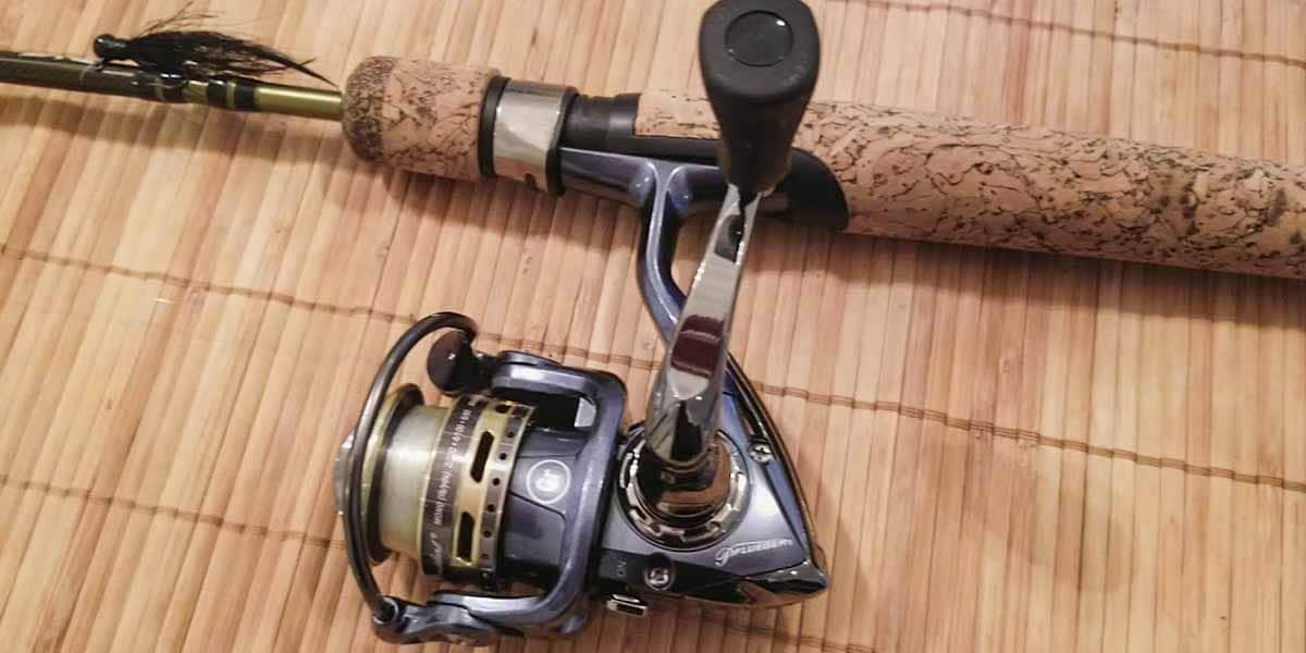 Fenwick Eagle Spinning Rod Review