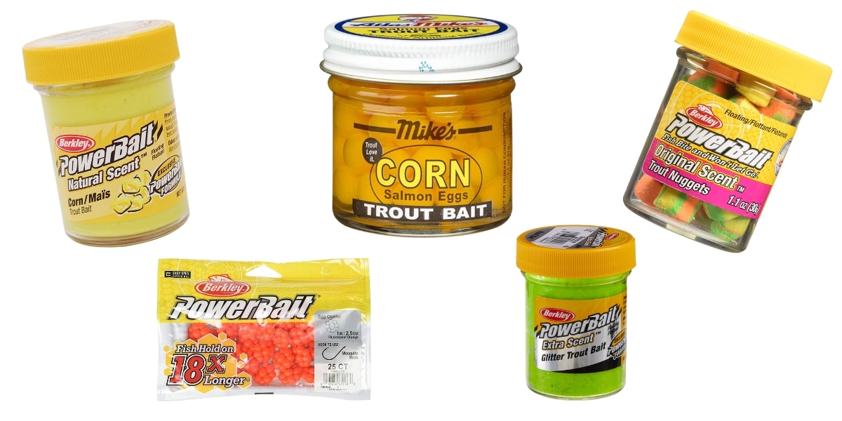 Best Bait For Trout